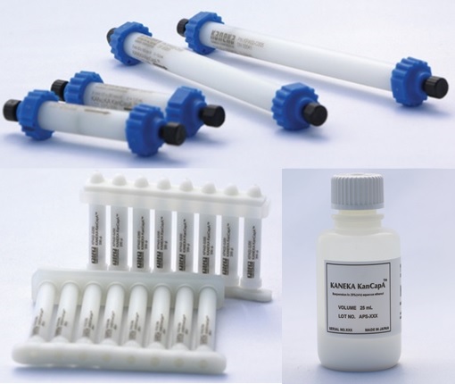 KANEKA KanCapA KANEKA,KanCapA,カネカ,プロテインA,protein A