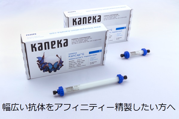 KANEKA,KanCapG,カネカ,ﾌﾟﾛﾃｲﾝG,protein G